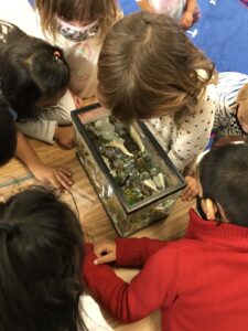 Kindergarten scientists observe items in a fish tank