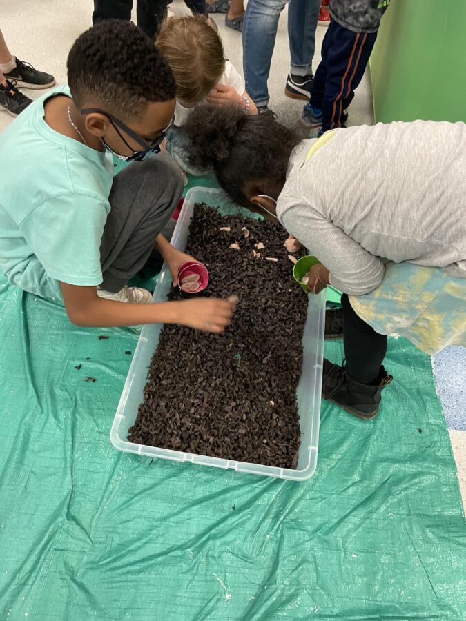 Students digging for fossils