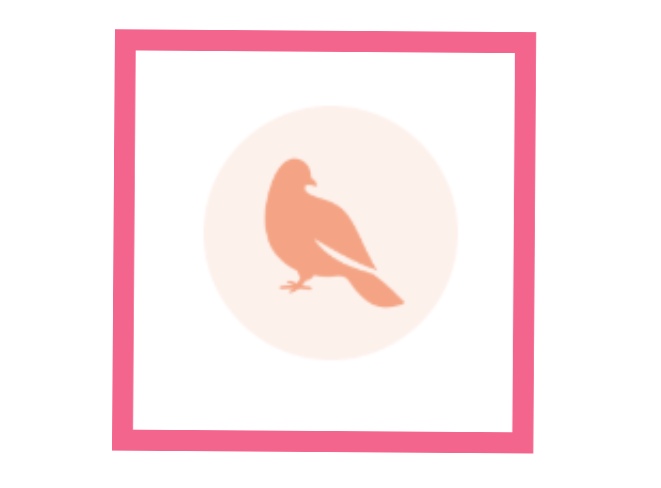 Bird from Paloma